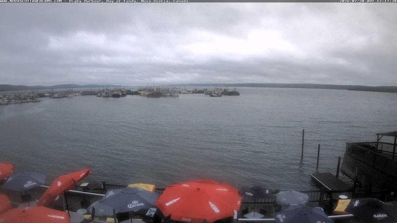 Digby Harbour