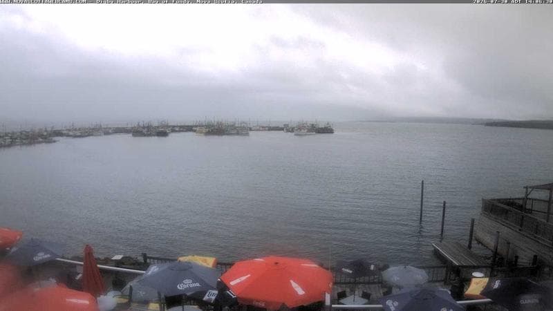 Digby Harbour