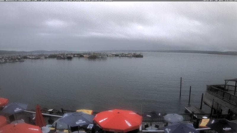 Digby Harbour