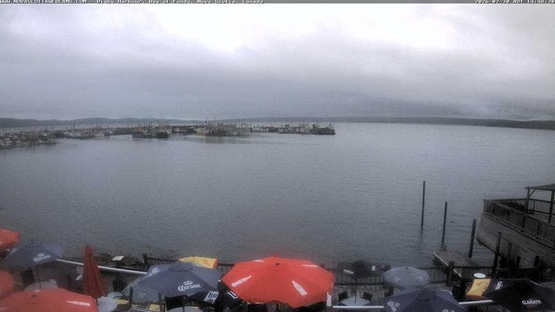 Digby Harbour
