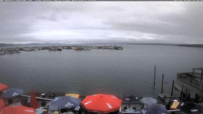 Digby Harbour