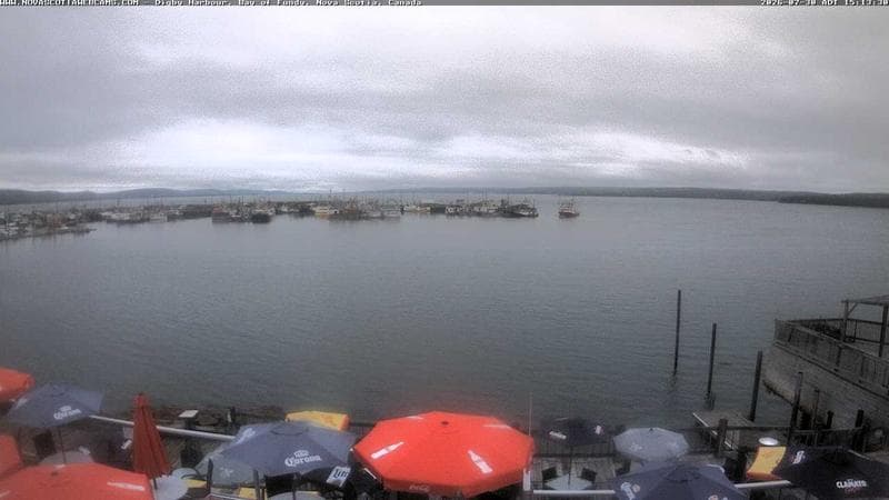 Digby Harbour