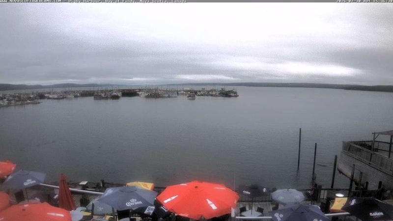 Digby Harbour