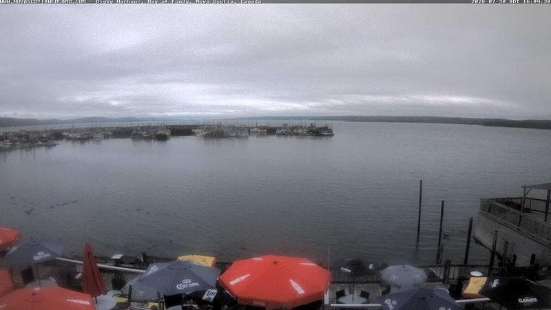 Digby Harbour