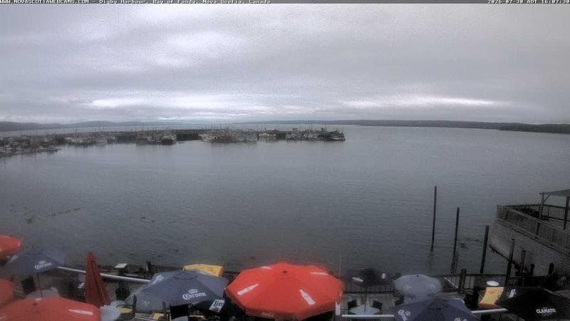 Digby Harbour