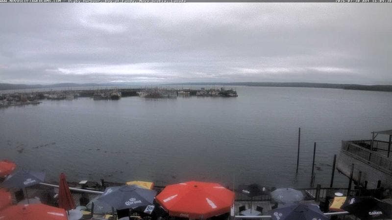 Digby Harbour