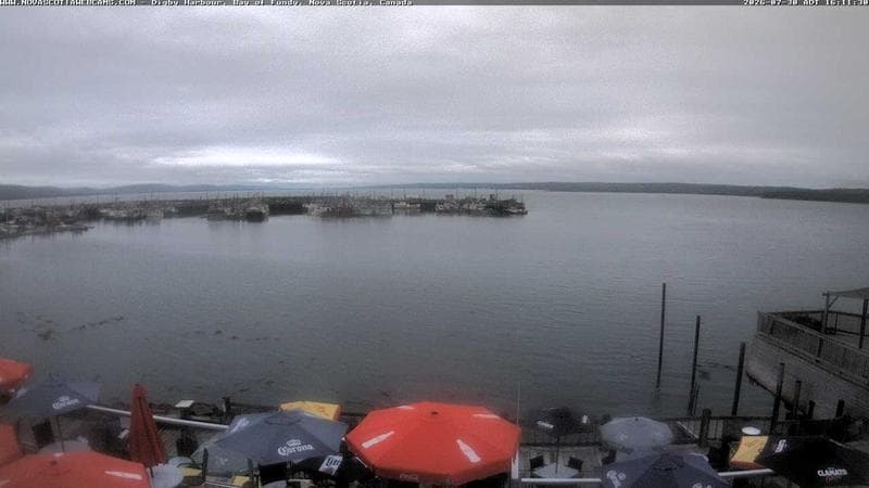 Digby Harbour