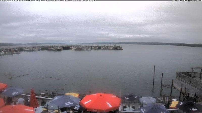 Digby Harbour