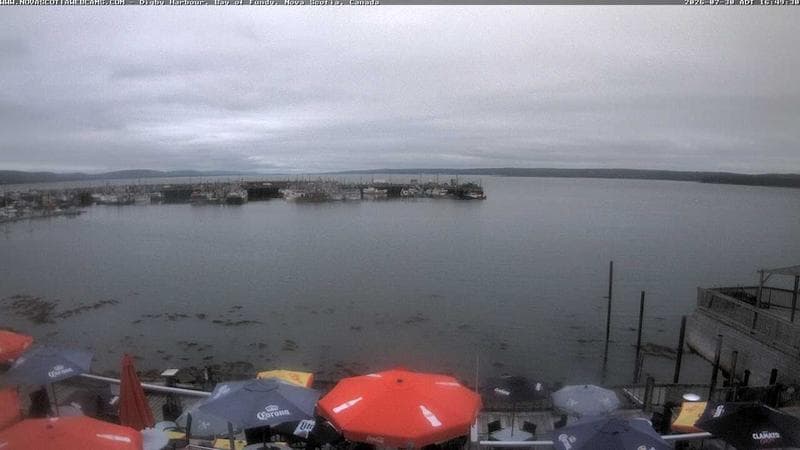 Digby Harbour
