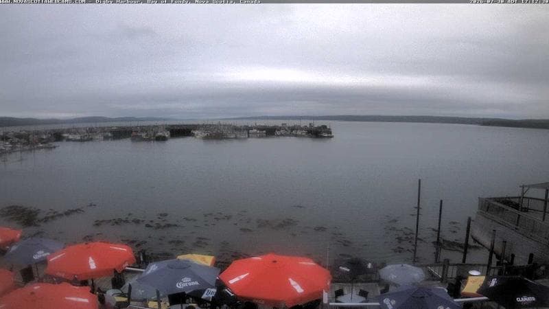 Digby Harbour