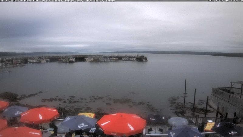 Digby Harbour
