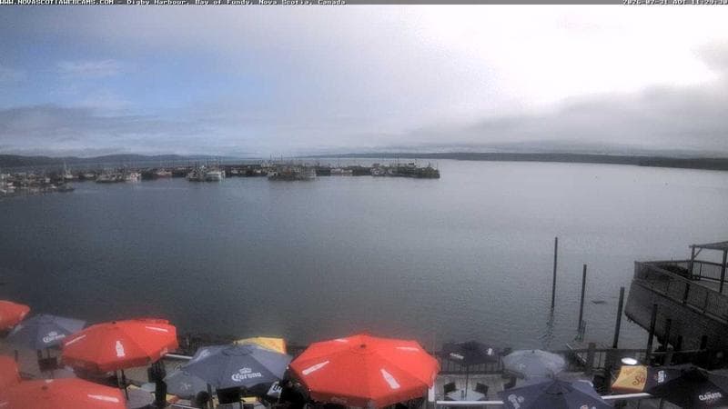 Digby Harbour