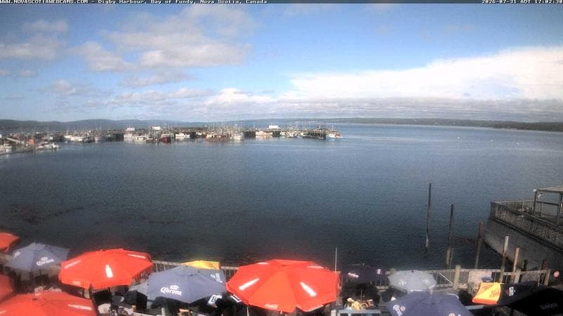 Digby Harbour