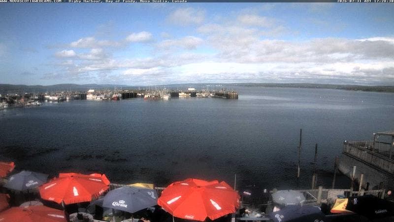 Digby Harbour