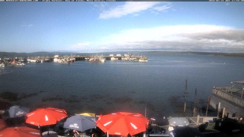 Digby Harbour