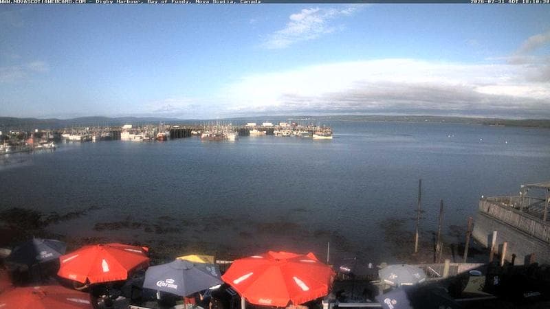 Digby Harbour