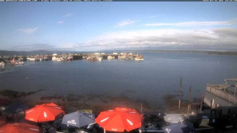 Digby Harbour