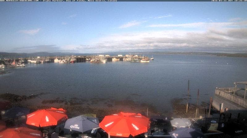 Digby Harbour