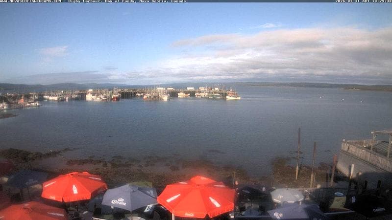 Digby Harbour