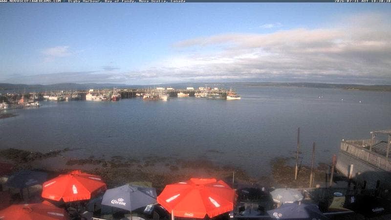 Digby Harbour