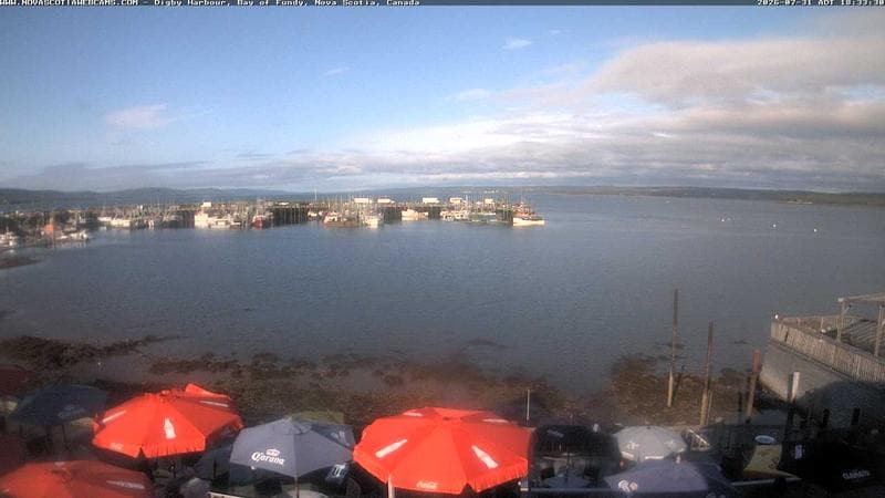 Digby Harbour