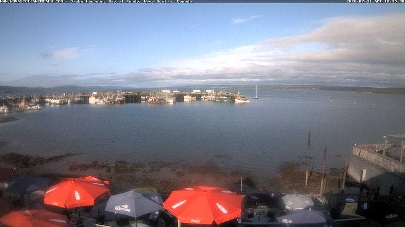 Digby Harbour