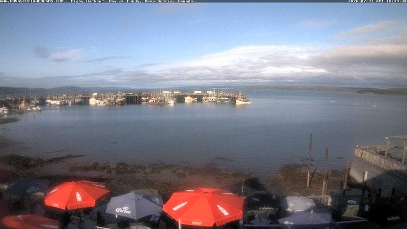 Digby Harbour