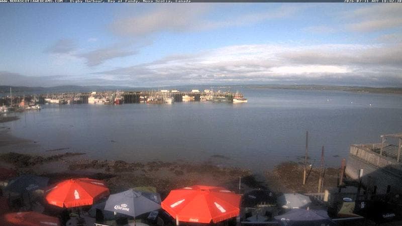 Digby Harbour