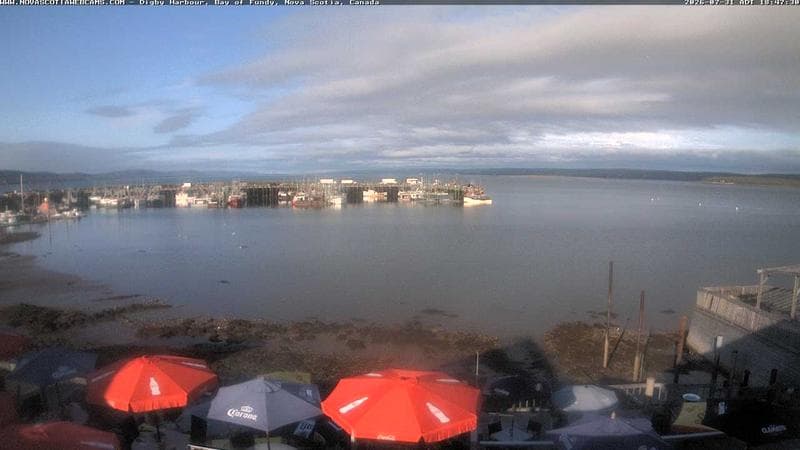 Digby Harbour