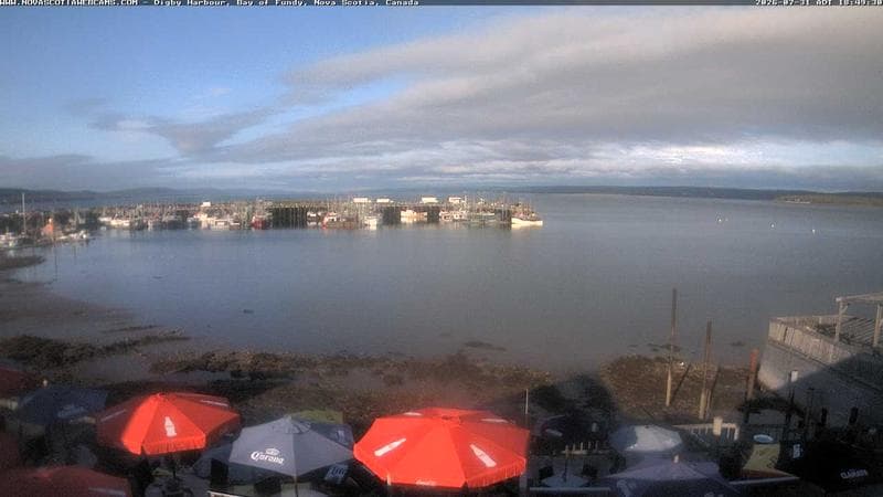 Digby Harbour