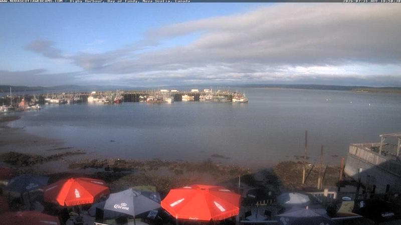 Digby Harbour