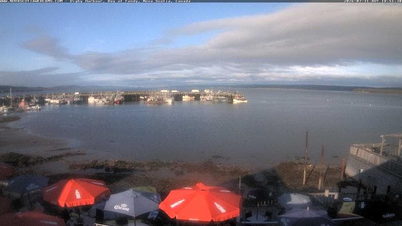 Digby Harbour
