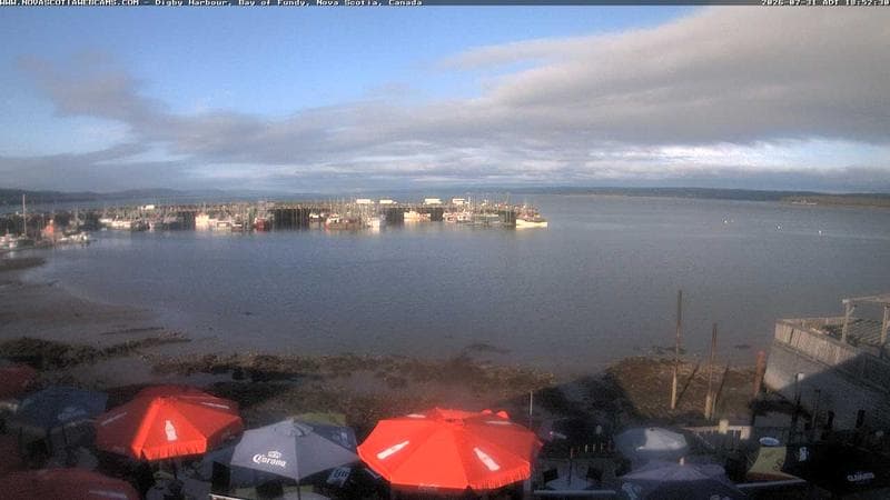 Digby Harbour