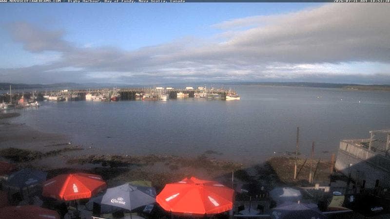 Digby Harbour