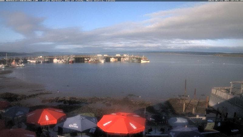 Digby Harbour