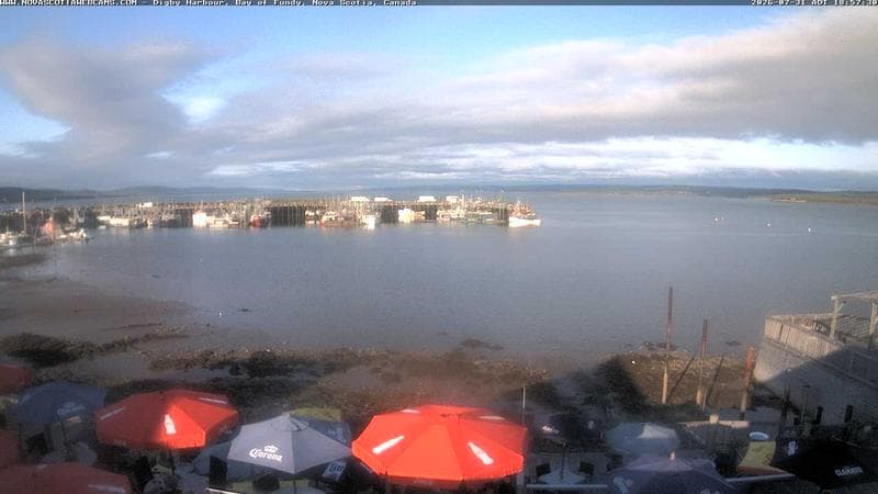 Digby Harbour
