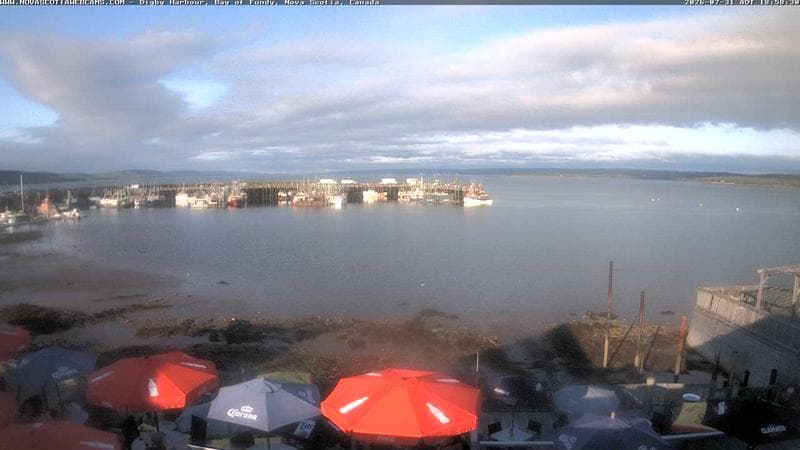 Digby Harbour
