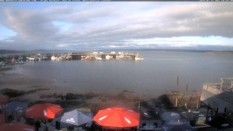 Digby Harbour