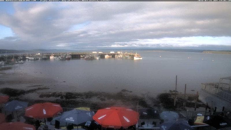 Digby Harbour