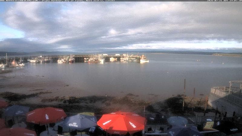 Digby Harbour