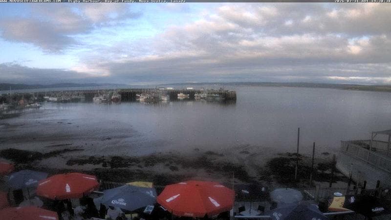 Digby Harbour
