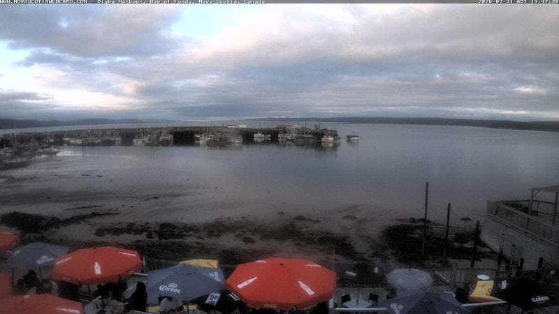 Digby Harbour