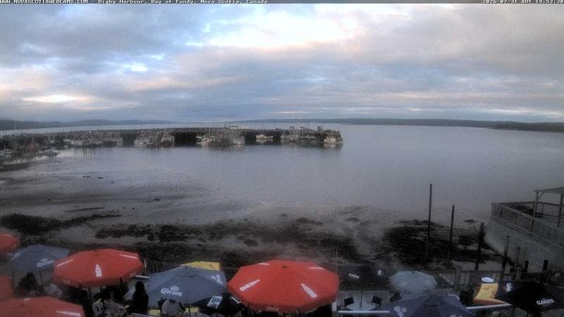 Digby Harbour