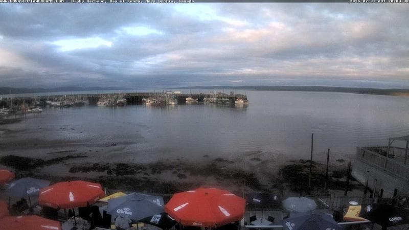 Digby Harbour