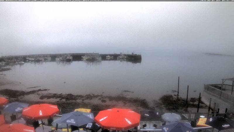 Digby Harbour