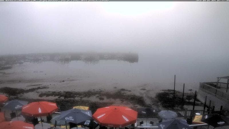 Digby Harbour