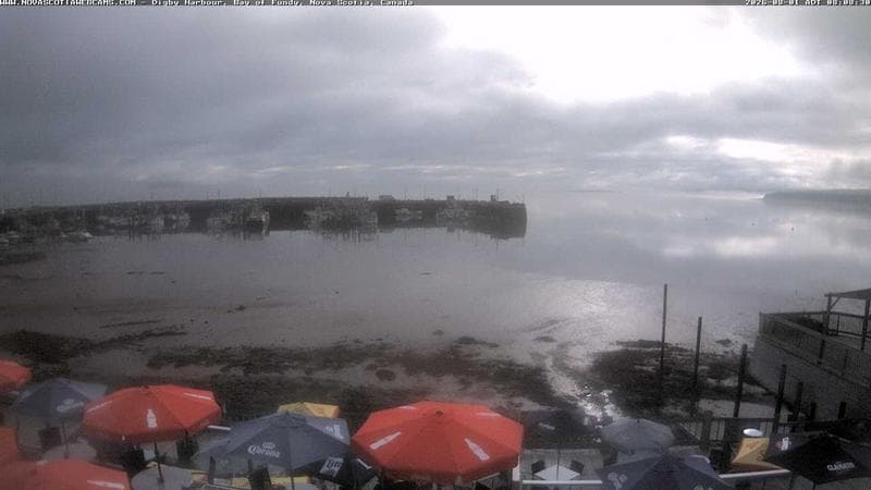 Digby Harbour