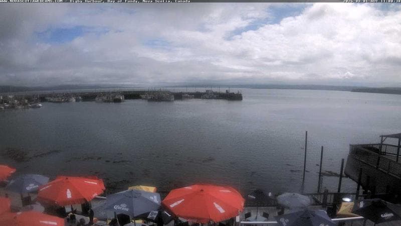 Digby Harbour