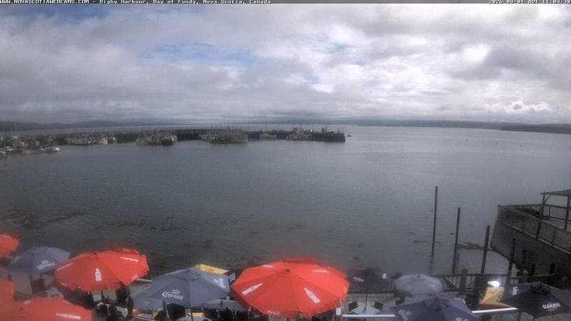 Digby Harbour