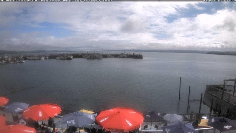 Digby Harbour